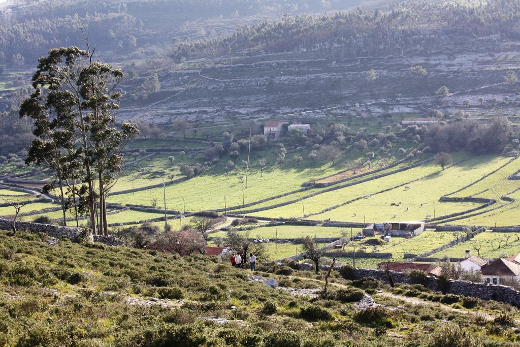 Meio Country House Alcanede Εξωτερικό φωτογραφία