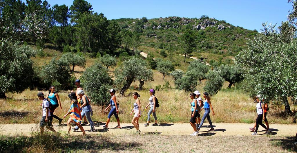 Meio Country House Alcanede Εξωτερικό φωτογραφία